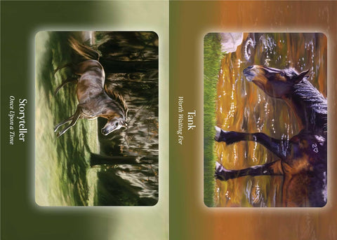 The Council of Horses Oracle cards Bear and Company
