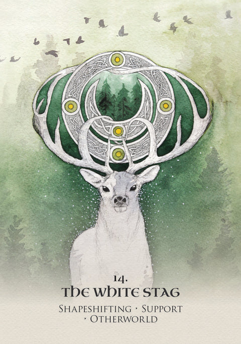 Celtic Spirit Oracle Cards Deck Rockpool Publishing By Nicola Mcintosh NEW