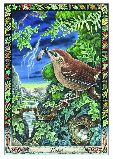 The Druid Animal Oracle Deck Cards By S. Carr-Gomm & B. Worthington Wbp11
