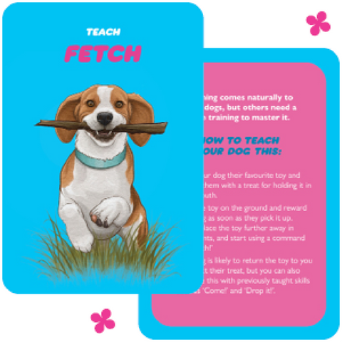 Dog Speak cards Rockpool