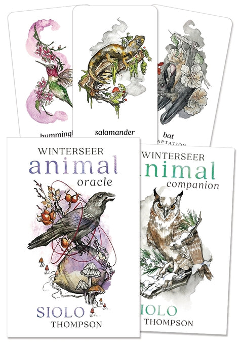 Winterseer Animal Oracle Cards Deck With Guidebook Llewellyn Siolo Thompson Color Cards