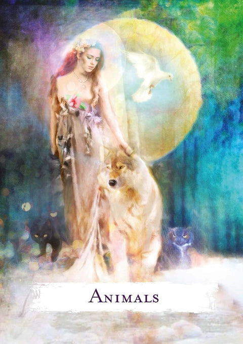 Spellcasting Oracle Card Deck And Guidebook Hay House Witchcraft Manifest NEW
