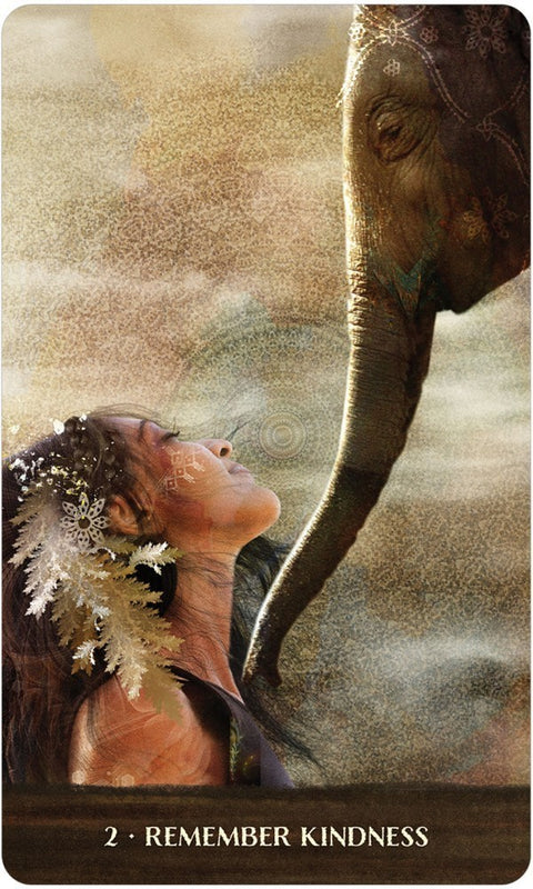 Wild Woman Rising Oracle Cards Deck Angi Sullins US Games Systems Fantasy Wld44