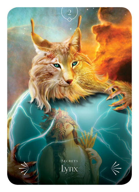 Divine Animals Oracle Cards Deck Rockpool Publishing Stacey Demarco Kinga NEW