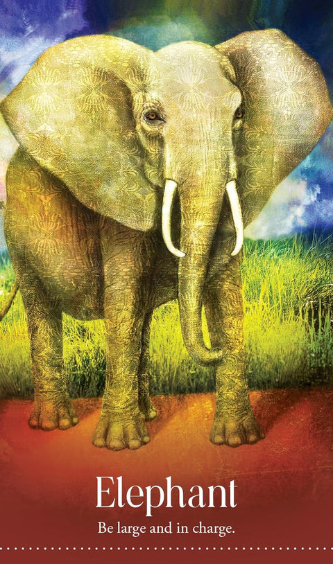 Wild Dreams Animal Oracle – Spirit Animal Cards Deck & Guidebook