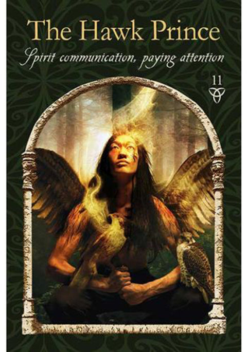 Wisdom Of The Hidden Realms Oracle Cards Deck And Guidebook Divine