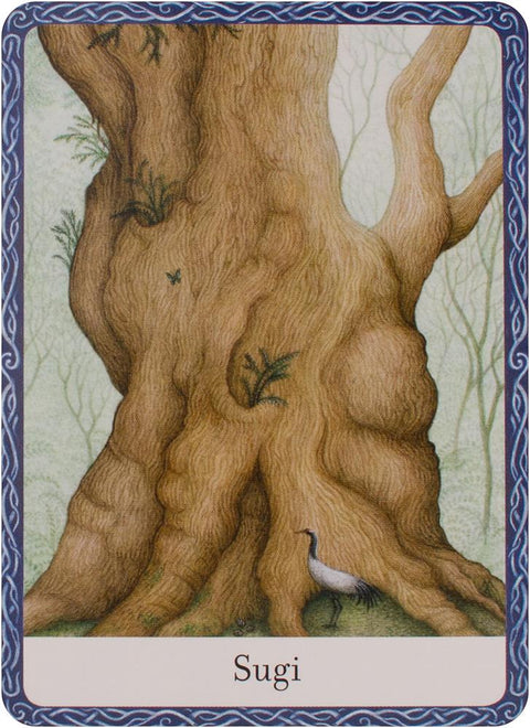 The Wisdom Of Trees Oracle Cards Deck Watkins Publishing By Jane Struthers NEW