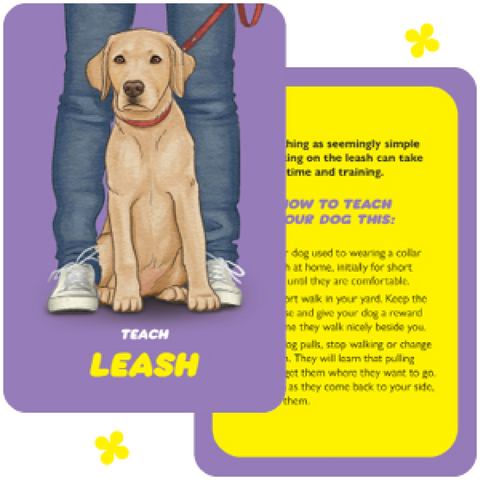 Dog Speak cards Rockpool