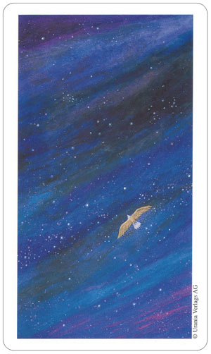 Vision Quest Tarot Cards Deck By Gayan Sylvie Winter Esoteric Agm 1067012591