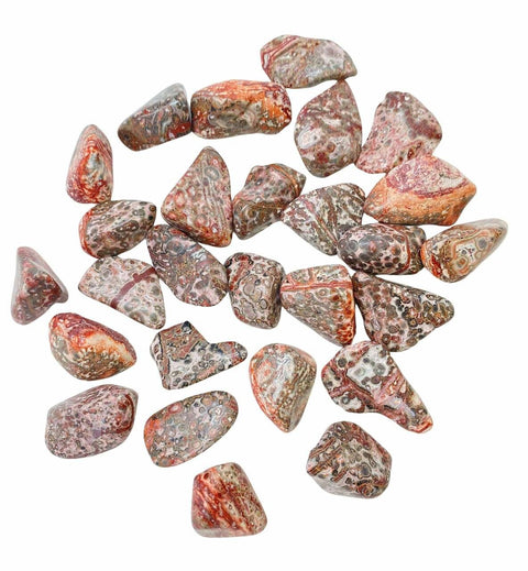 24 Medium Tumble Stones - Leopard Skin Gemstones Amulet Ancient Wisdom NEW
