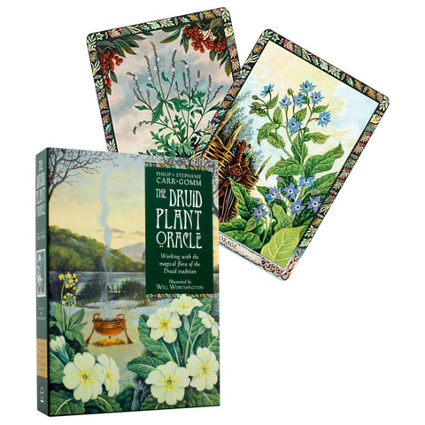 The Druid Plant Oracle Cards & Guidebook Welbeck Publishing
