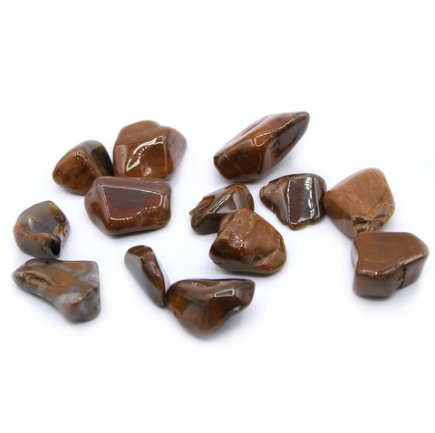 24 Large Tumble Stones - Petrified Wood Gemstones Talisman Ancient Wisdom NEW