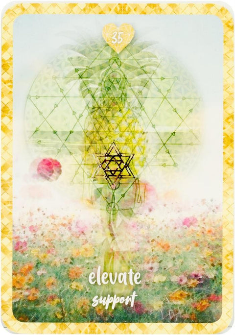 Self Love Oracle Cards Deck Rockpool Esoteric Akal Pritam Self-Love Chakra NEW