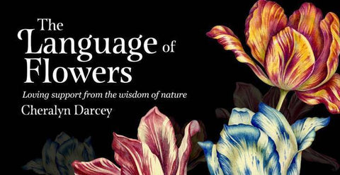 The Language Of Flowers Inspiration Cards Deck Rockpool Publishing Cheralyn NEW