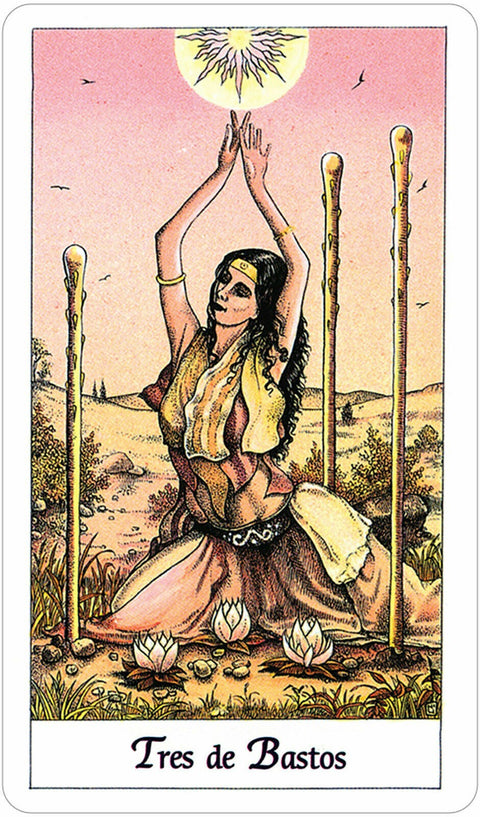 Tarot Cosmico Deck Cards Norbert Losche Esoteric Telling Spanish Edition Agm NEW