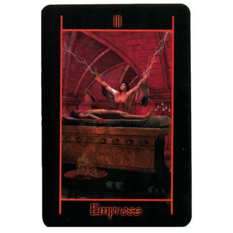 Tarot Of The Night Deck Book Set Schiffer Publishing Richard Shadowfox NEW