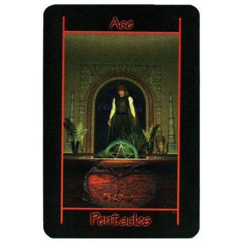 Tarot Of The Night Deck Book Set Schiffer Publishing Richard Shadowfox NEW