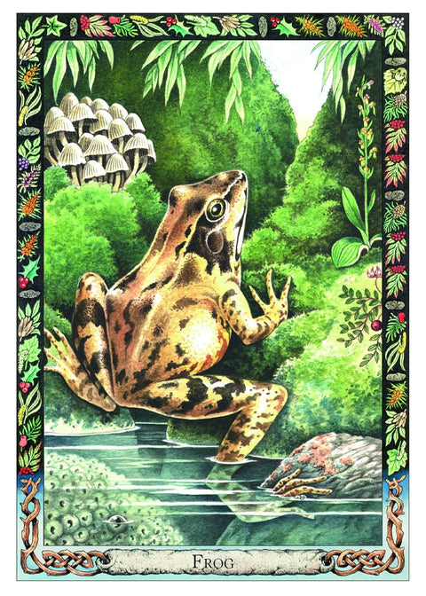 The Druid Animal Oracle Deck Cards By S. Carr-Gomm & B. Worthington Wbp11