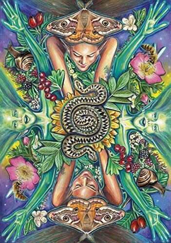 Everyday Enchantment Tarot Cards Deck Book Set Schiffer Publishing Palin NEW