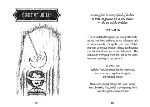 THE POE TAROT CARDS DECK SCHIFFER PUBLISHING TRISHA LEIGH SHUFELT ESOTERIC NEW