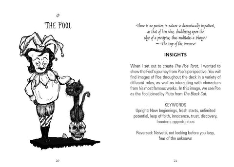 THE POE TAROT CARDS DECK SCHIFFER PUBLISHING TRISHA LEIGH SHUFELT ESOTERIC NEW