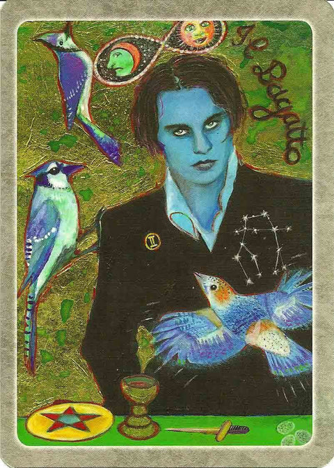 The Secret Language Of Birds Tarot Cards Schiffer Publishing Adele Nozedar NEW