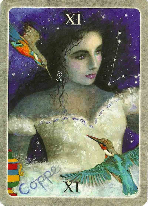 The Secret Language Of Birds Tarot Cards Schiffer Publishing Adele Nozedar NEW