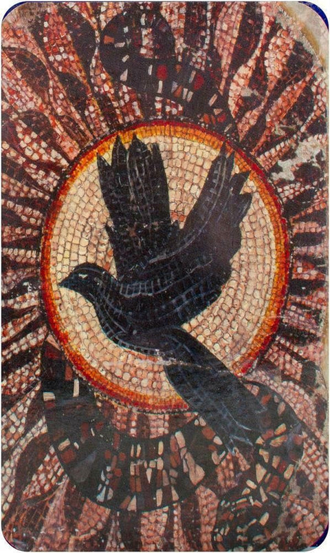 The Sibyls Oraculum Oracle Cards Deck Esoteric T. Mcquillar Destiny Books Db04