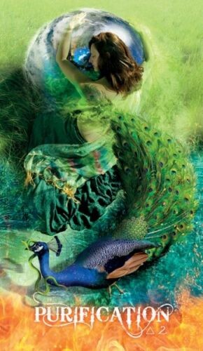 Transformation Oracle Cards Deck & Book Schiffer Publishing Sonya Shannon NEW