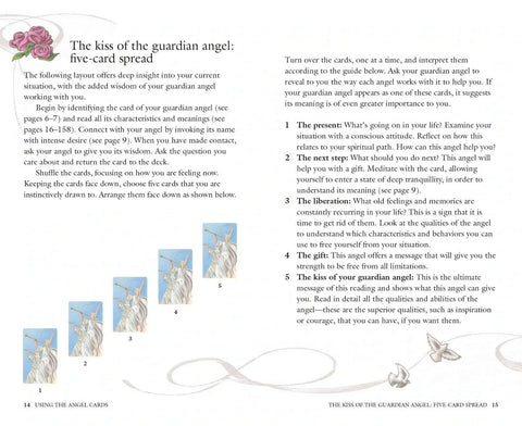 The Guardian Angel Oracle Cards Deck And Book Cico Books Delia Ciccarelli NEW