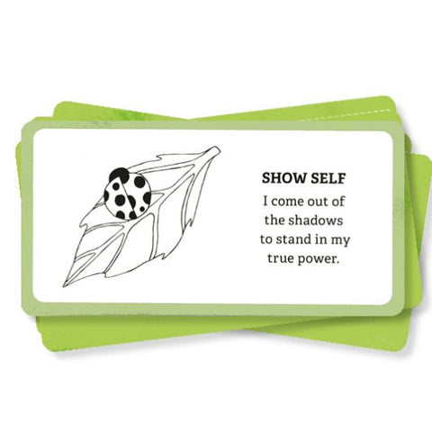 Enchanted Soul Affirmation Cards Animal Dreaming Nick Bibes Esoteric Fortune NEW