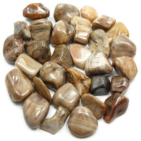 Petrified Wood Tumble Stones Tumble Crystals 500 Grams Pack Lo Scarabeo Cr13