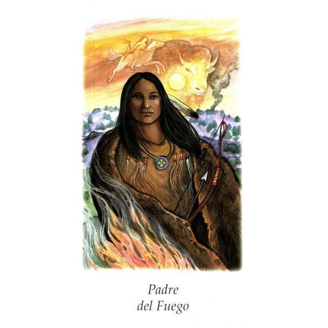 Vision Quest Tarot Deck Cards Esoteric Winter Jo Dose Spanish Edition Agm NEW