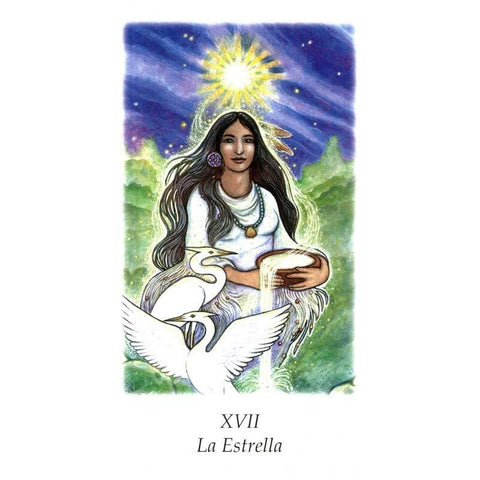 Vision Quest Tarot Deck Cards Esoteric Winter Jo Dose Spanish Edition Agm NEW