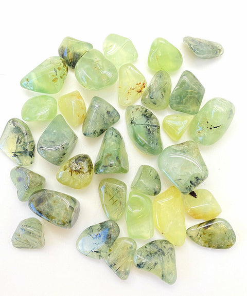 24 Large Tumble Stones - Prehnite A Grade Gemstones Talisman Ancient Wisdom NEW