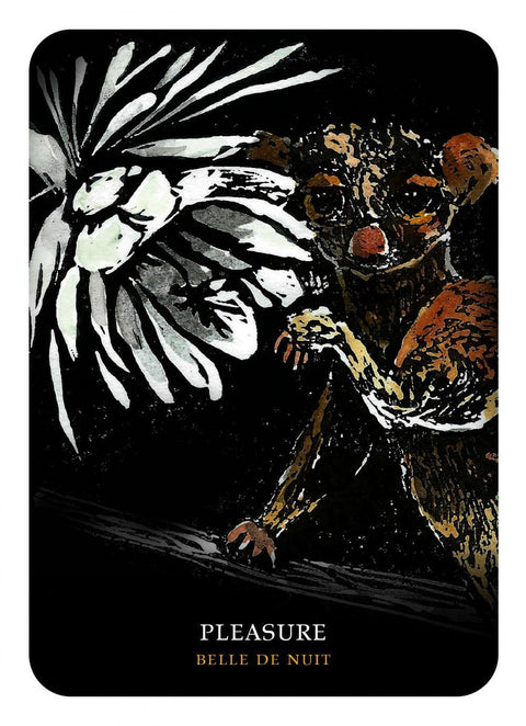 Flowers Of The Night Oracle Cheralyn Darcey Rockpool Publishing Inspiration NEW
