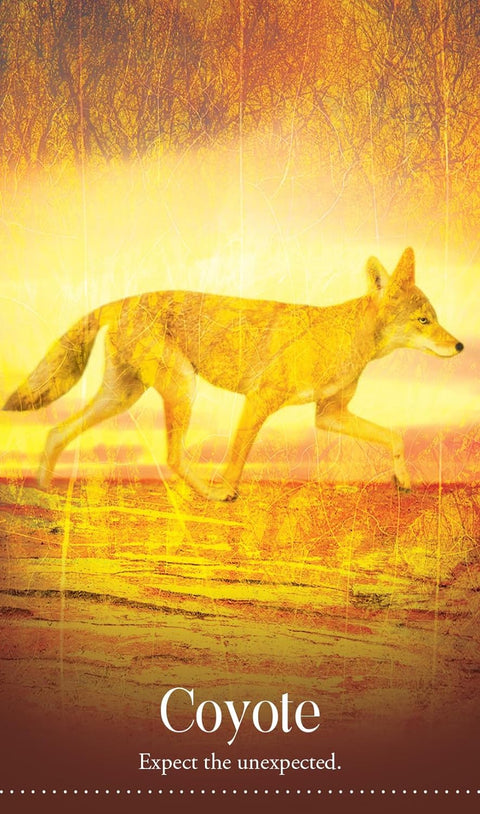 Wild Dreams Animal Oracle – Spirit Animal Cards Deck & Guidebook