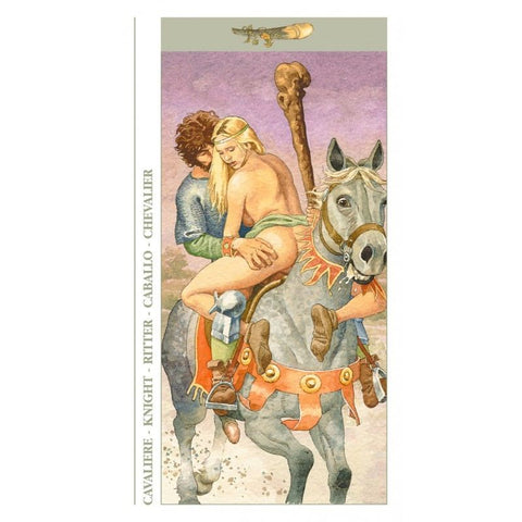 Decameron Tarot Deck Cards Gaudendzi Esoteric Fortune Telling Lo Scarabeo NEW