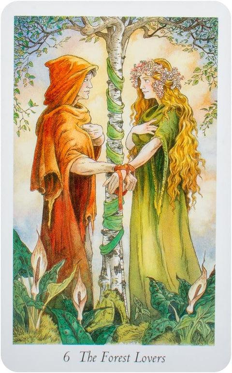 Wildwood Tarot Wherein Wisdom Resides Cards Deck Orange Hippo Mark Ryan NEW
