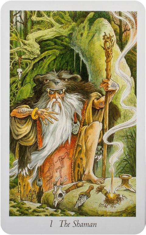 Wildwood Tarot Wherein Wisdom Resides Cards Deck Orange Hippo Mark Ryan NEW