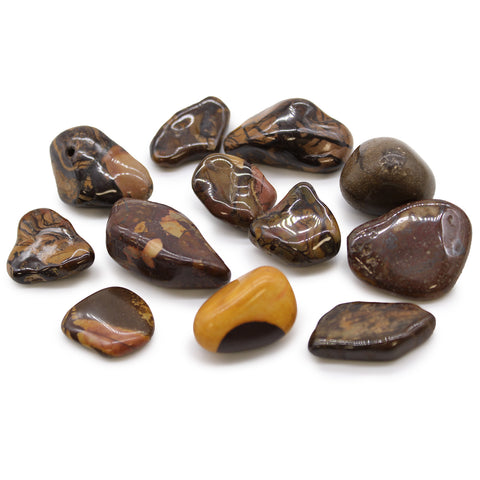 12 Medium African Tumble Stones Picture Nguni Gemstones Ancient Wisdom NEW