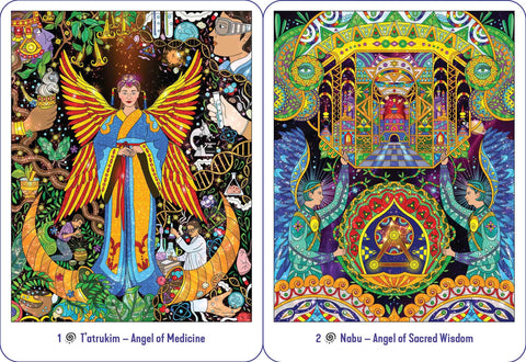Amazonian Angel Oracle Cards Deck Destiny Books Howard G. Charing Esoteric NEW