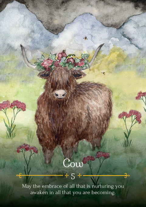 Seasons Of The Witch Beltane Oracle Cards Deck Rockpool Publishing Anderson Diaz