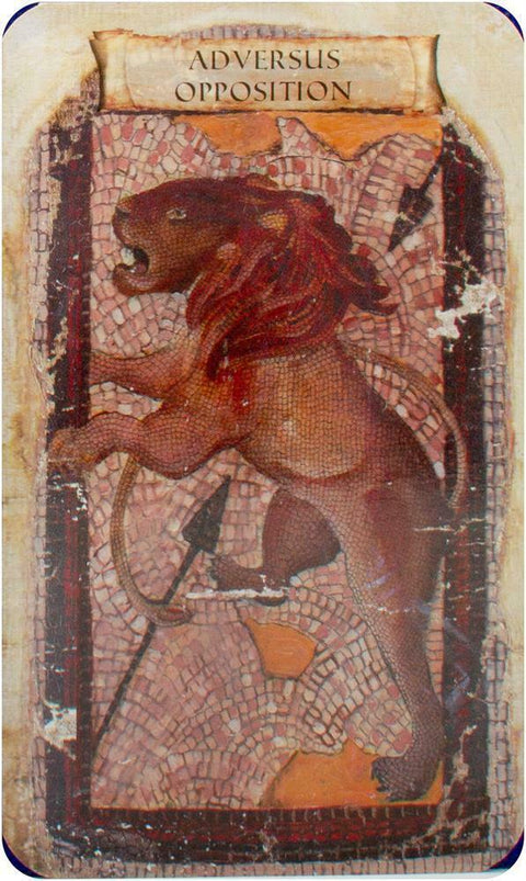 The Sibyls Oraculum Oracle Cards Deck Esoteric T. Mcquillar Destiny Books Db04