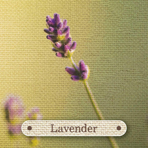 Apothecary Flashcards Deck – Herbal Remedies & Plant Medicine Study Cards