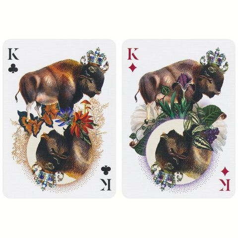 Rare Theory11 Moooi Extinct Animals Playing Cards. Poker Size. USA Made. Sealed.