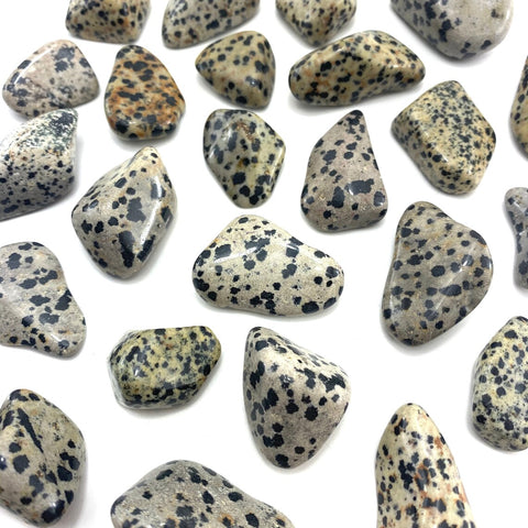 24 Large Tumble Stones - Dalmatian Jasper Gemstones Talisman Ancient Wisdom NEW