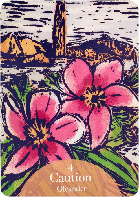 The Language Of Flowers Oracle Cards Deck Rockpool Cheralyn Darcey Esoteric NEW