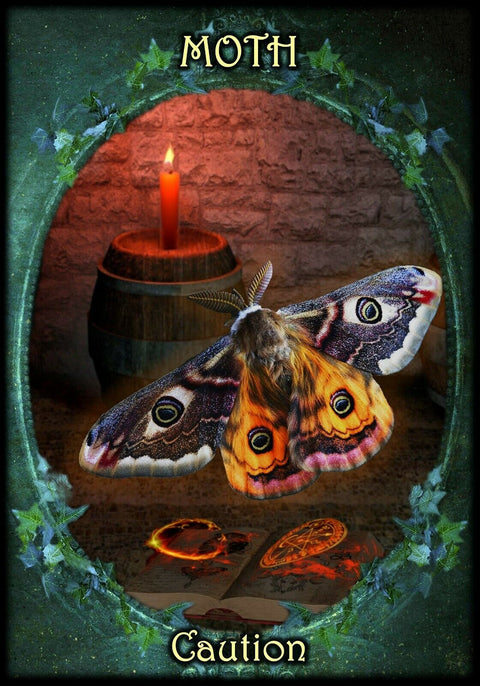 Witches Familiars Oracle Solarus Cards And Guidebook Set Kate Osborne NEW