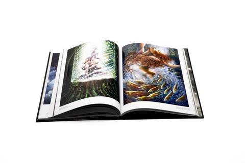 Art & Soul Paintings by Autumn Skye Book Blue Angel